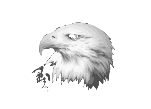 A Bird's Eye Productions